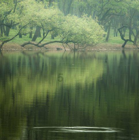 机械迷城
